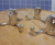 20230221_103834_0000.png