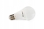 Zarowka-Led-E27-10W-230v-AC-50-60HZ.jpg